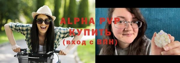 мдпв Бородино