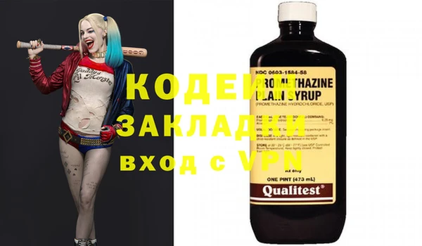мдпв Бородино