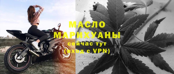 мдпв Бородино